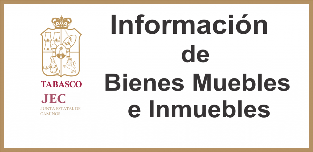 INFO BIENES.png